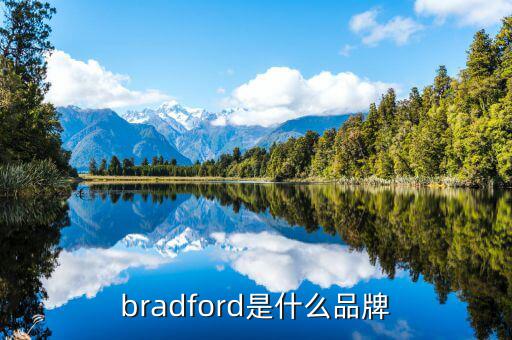 丁稅寶是什么，bradford是什么品牌