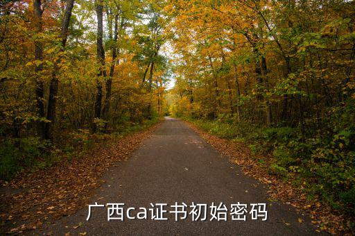 國說ca證書密碼是什么，ca證書密碼是什么