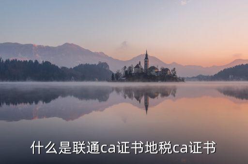 什么是地稅ca證書，社保CA地稅CA