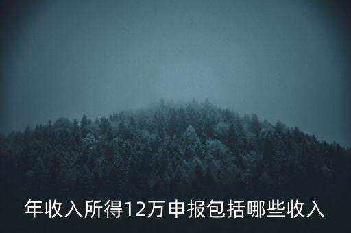 十二萬申報(bào)是什么，12萬個(gè)稅申報(bào)有什么用