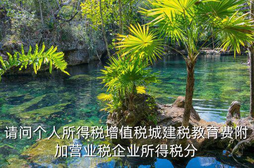 請問個人所得稅增值稅城建稅教育費附加營業(yè)稅企業(yè)所得稅分