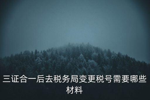 三證合一后去稅務(wù)局變更稅號需要哪些材料