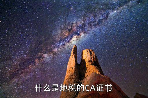 地稅ca棒是什么，什么是地稅的CA證書