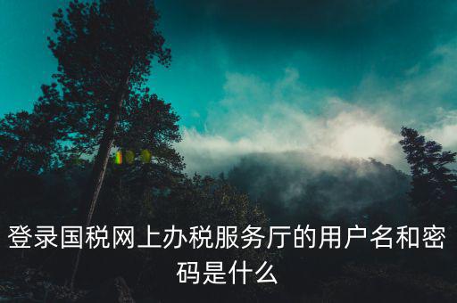 登錄國(guó)稅網(wǎng)上辦稅服務(wù)廳的用戶名和密碼是什么