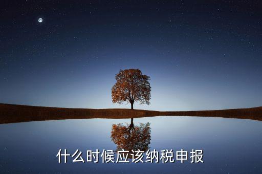 消費稅什么時候申報，什么時候應(yīng)該納稅申報