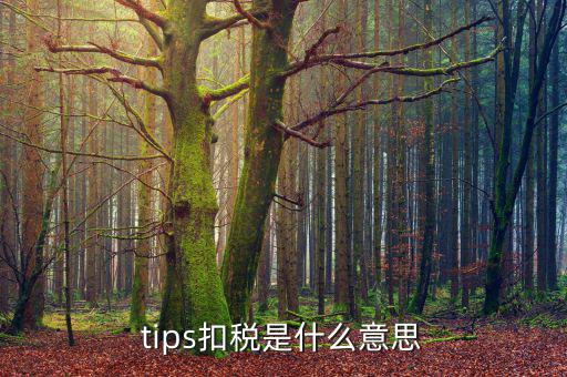 tips扣稅是什么意思