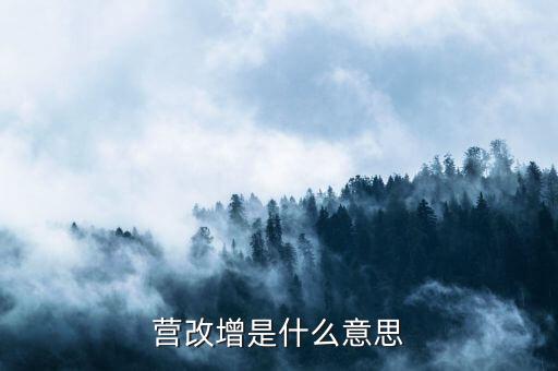 營(yíng)改增是什么意思