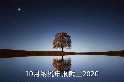 10月申報(bào)期到什么時(shí)候，2021年十月份報(bào)稅期延遲到幾號(hào)