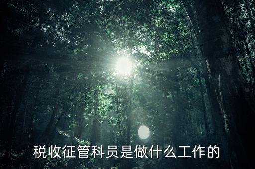 國稅局征管員和企業(yè)要做什么，稅收征管的公務員主要做什么工作