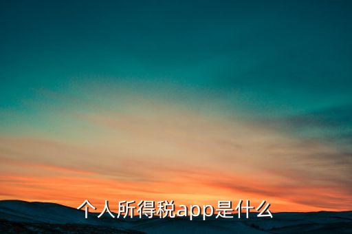 網(wǎng)上交稅要下載什么東西，個人所得稅官網(wǎng)登錄企業(yè)個人所得稅要下載什么端口申報