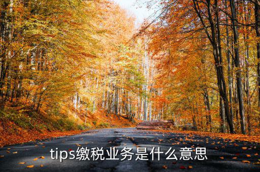 tips繳稅業(yè)務是什么意思