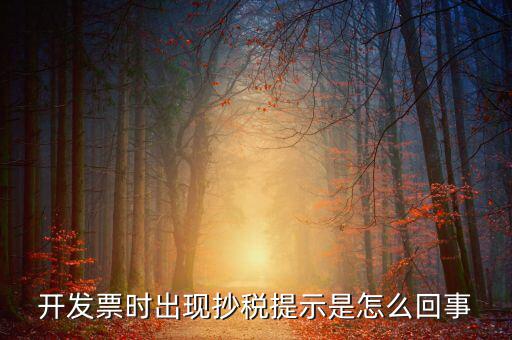 開發(fā)票時(shí)出現(xiàn)抄稅提示是怎么回事