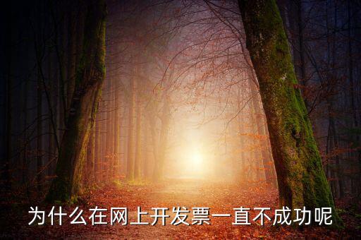 為什么在網(wǎng)上開(kāi)發(fā)票一直不成功呢