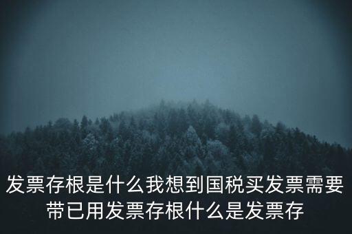 發(fā)票電子存根是什么，發(fā)票存根是什么