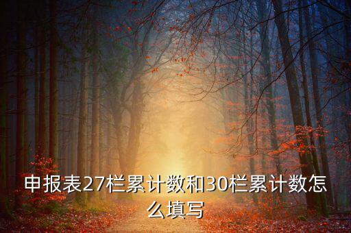 什么是期初未繳稅額，申報(bào)表27欄累計(jì)數(shù)和30欄累計(jì)數(shù)怎么填寫(xiě)