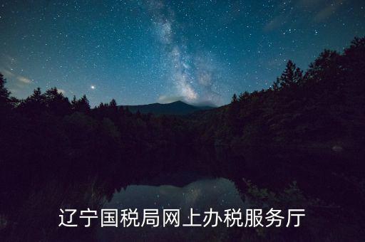 遼寧國稅局網(wǎng)上辦稅服務(wù)廳