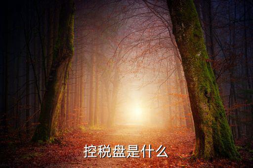 稅控盤是什么，稅控發(fā)票開票軟件 和金稅盤是什么意思