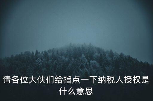 納稅人獲得感是什么意思，請(qǐng)各位大俠們給指點(diǎn)一下納稅人授權(quán)是什么意思