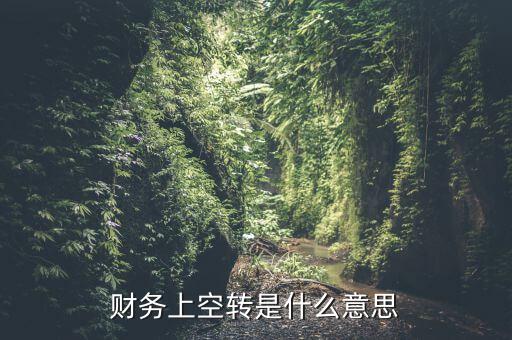 財(cái)務(wù)上空轉(zhuǎn)是什么意思