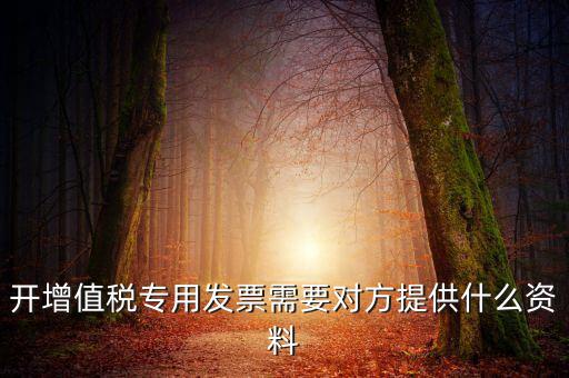 開增值稅專用發(fā)票需要對方提供什么資料