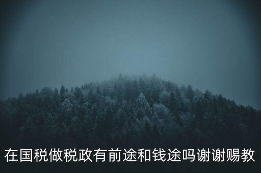 稅政處管什么，稅務局里的稅政科和征管科都有哪些功能