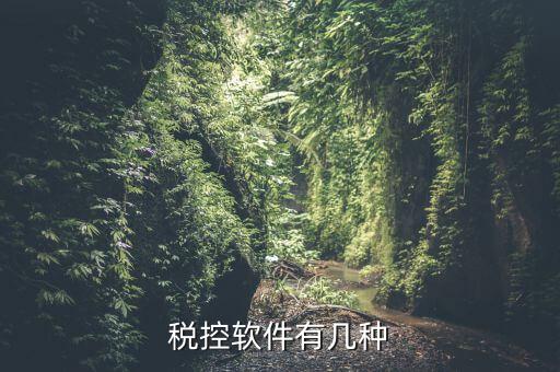 控稅軟件針對(duì)什么，稅控軟件有幾種