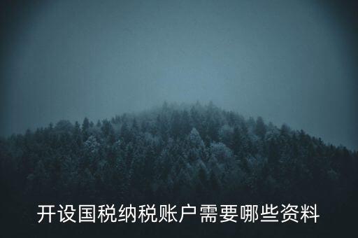 開國稅都需要帶什么資料，開設(shè)國稅納稅賬戶需要哪些資料