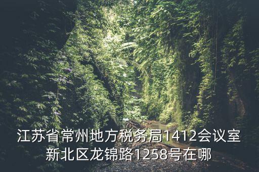 江蘇省常州地方稅務(wù)局1412會(huì)議室新北區(qū)龍錦路1258號在哪