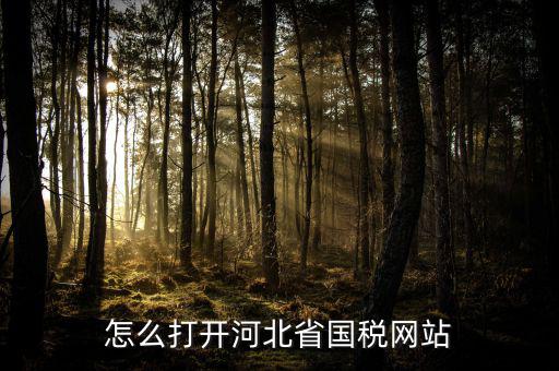 河北稅務官網(wǎng)是什么意思，怎么打開河北省國稅網(wǎng)站