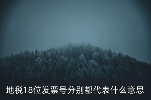 地稅18位發(fā)票號分別都代表什么意思