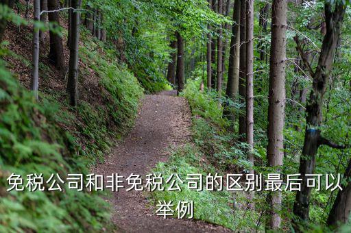 免稅公司和非免稅公司的區(qū)別最后可以舉例