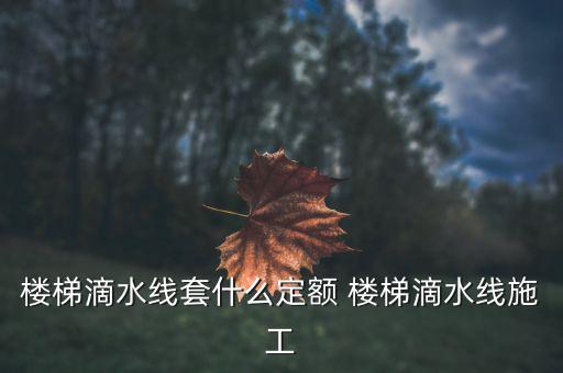 江蘇滴水套什么定額，滴水線套什么定額