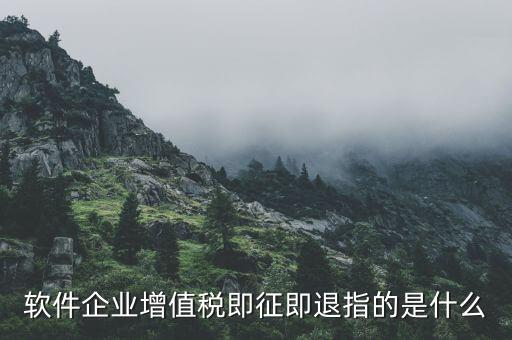 軟件企業(yè)增值稅即征即退指的是什么