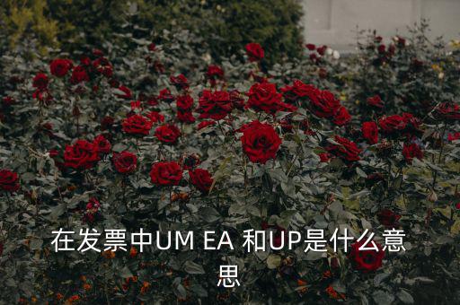 在發(fā)票中UM EA 和UP是什么意思