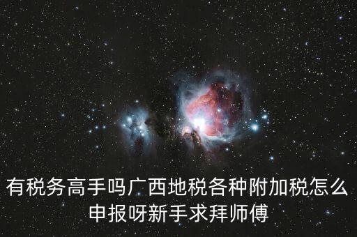 廣西地稅每個(gè)月要申報(bào)什么內(nèi)容，有稅務(wù)高手嗎廣西地稅各種附加稅怎么申報(bào)呀新手求拜師傅