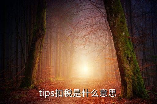 國(guó)稅tips系統(tǒng)指什么意思，電子對(duì)賬單上摘要一欄寫(xiě)有tips是什么意思