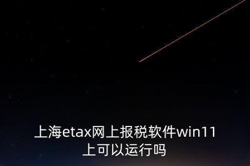 上海網(wǎng)上報稅什么軟件，上海etax網(wǎng)上報稅軟件win11上可以運行嗎