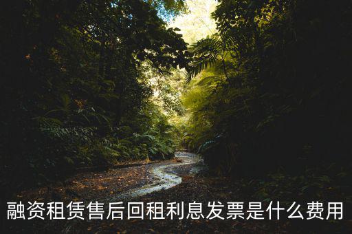 融資租賃售后回租利息發(fā)票是什么費(fèi)用