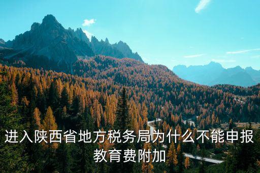 進(jìn)入陜西省地方稅務(wù)局為什么不能申報教育費附加