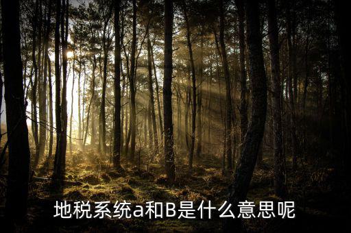 地稅b戶是什么意思，地稅系統(tǒng)a和B是什么意思呢