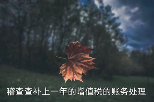 稽查補(bǔ)什么稅，請(qǐng)問(wèn)被國(guó)稅局稽查局查處補(bǔ)交增值稅所得稅及滯納金計(jì)入應(yīng)哪個(gè)科目