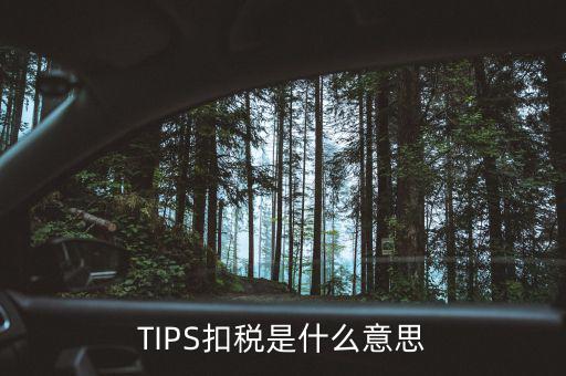 tips扣款什么意思，tips扣稅是什么意思