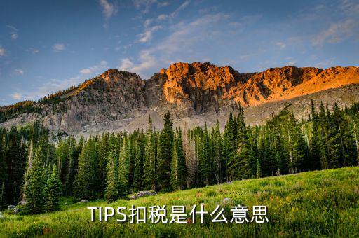 什么叫tips扣款，tips扣款和大廳扣款區(qū)別