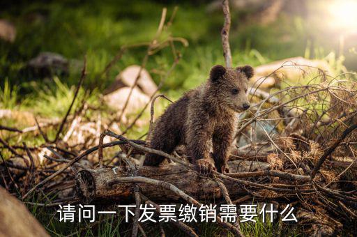 發(fā)票繳銷要需要帶什么，去國稅注銷發(fā)票需要帶什么呢