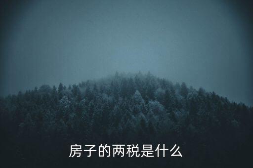 兩稅清查是指什么，房子的兩稅是什么