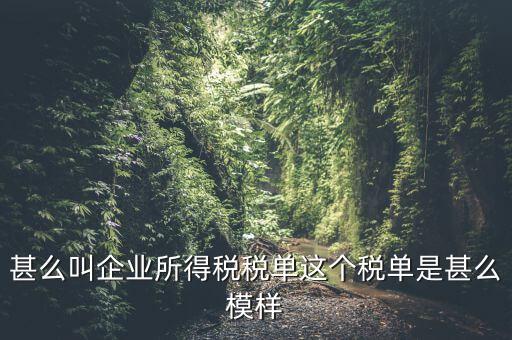 企業(yè)所得稅稅單是什么，稅單是什么怎樣提供稅單