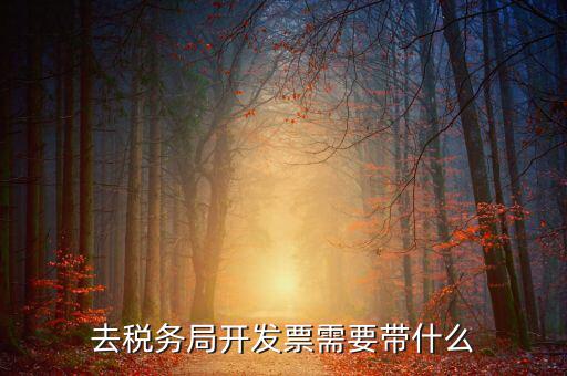 開票需要會(huì)什么手續(xù)，開發(fā)票的具體流程