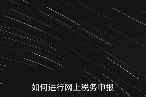 如何進行網(wǎng)上稅務申報