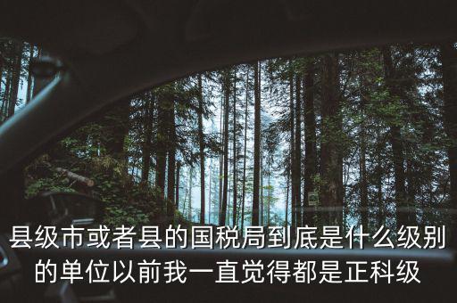 縣國(guó)稅局辦稅服務(wù)廳主任是什么級(jí)別，縣地稅局辦公室主任是什么行政級(jí)別