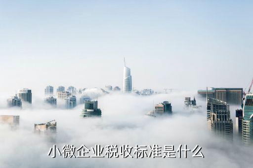 什么是企業(yè)稅收標(biāo)準(zhǔn)是什么，公司的稅收是按什么標(biāo)準(zhǔn)收稅的